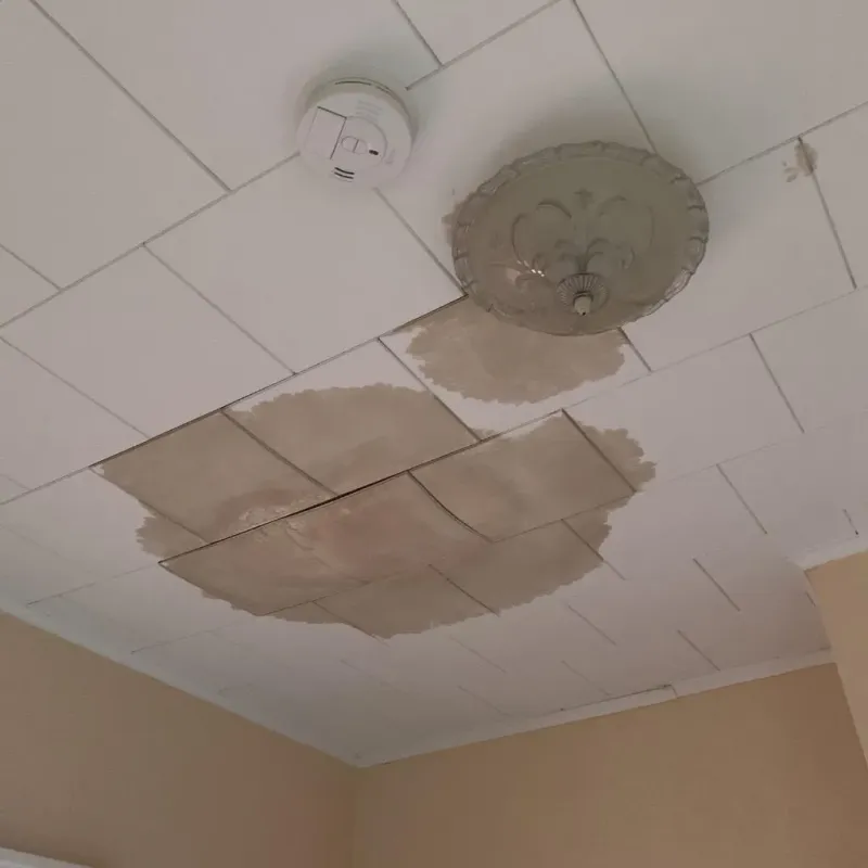 Ceiling Water Damage Repair in Port Byron, IL