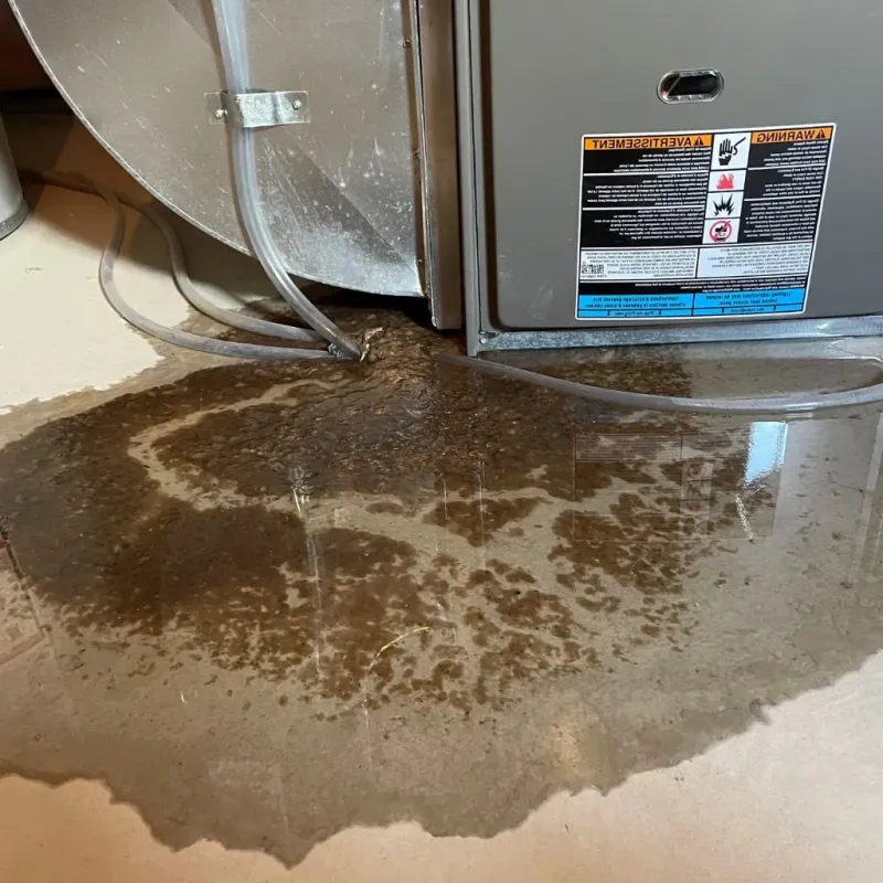 Pipe Burst and Leak Restoration in Port Byron, IL
